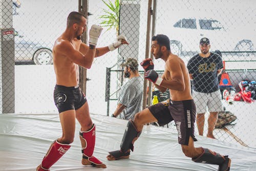 Free Men Training MMA at the Gym Stock Photo