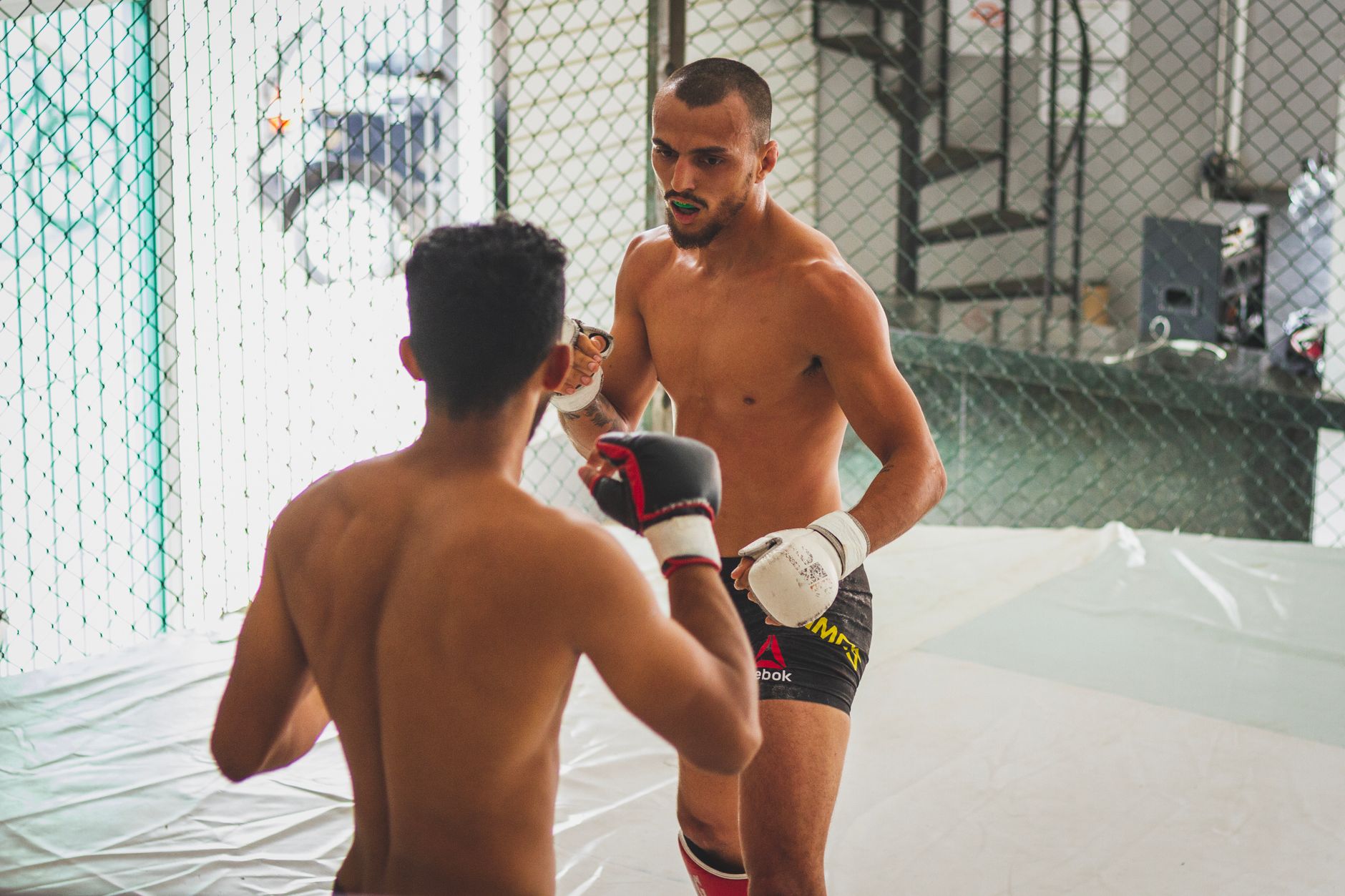 Top 5 de la semana en MMA: Sterling y su camino hacia el título