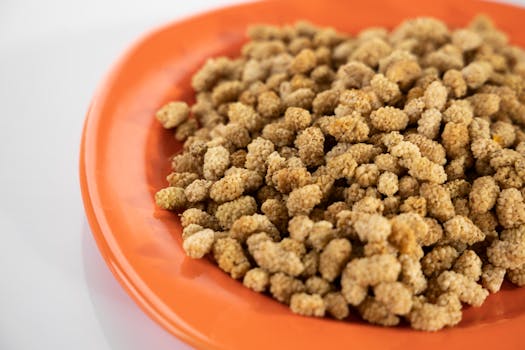 A detailed close-up of dried mulberries arranged on an orange plate, showcasing their texture.