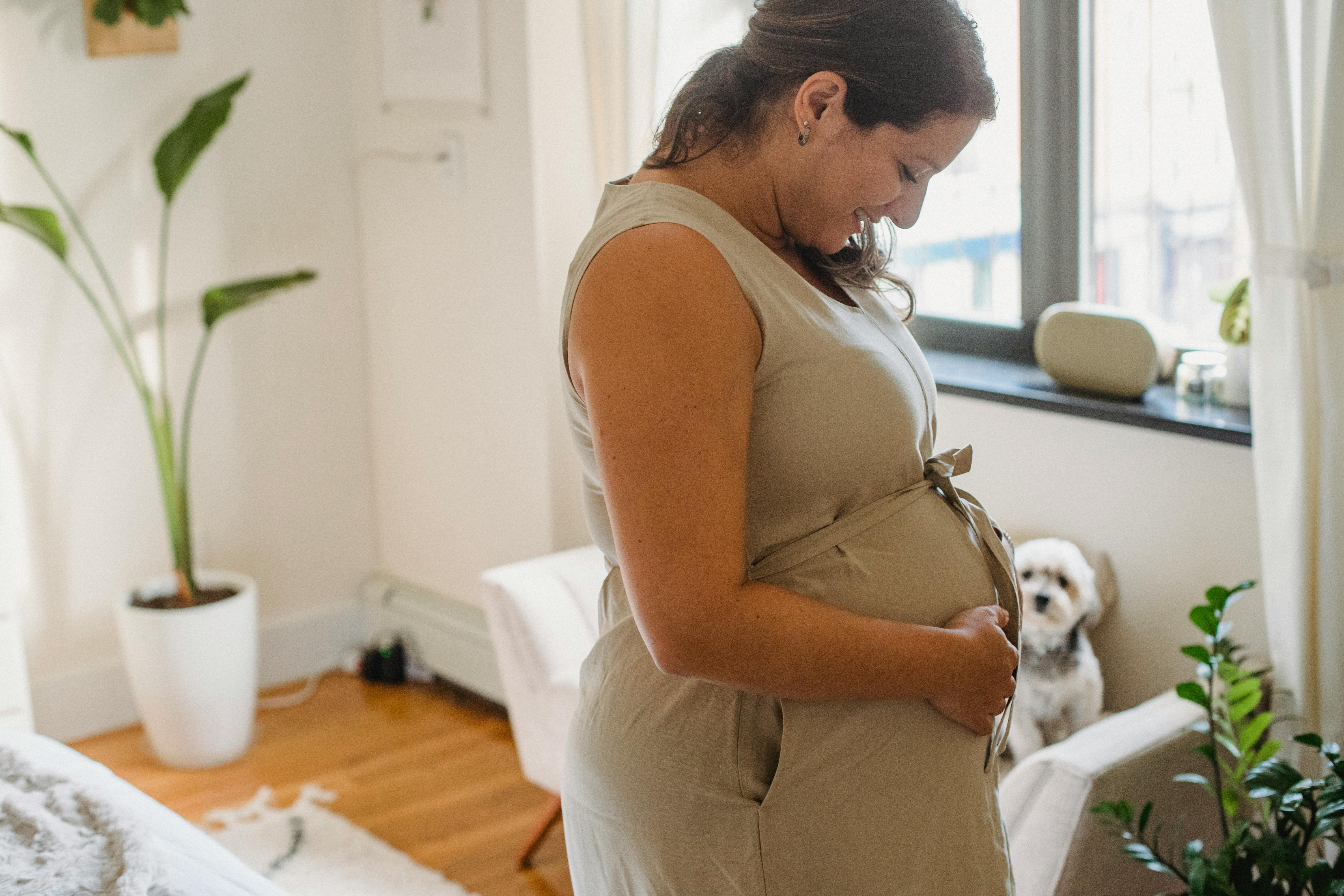pregnant woman touching belly with dog on sofa