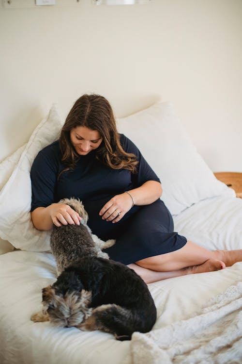 Gratis Sonriente Mujer Embarazada Acariciando Lindo Perro En La Cama Foto de stock