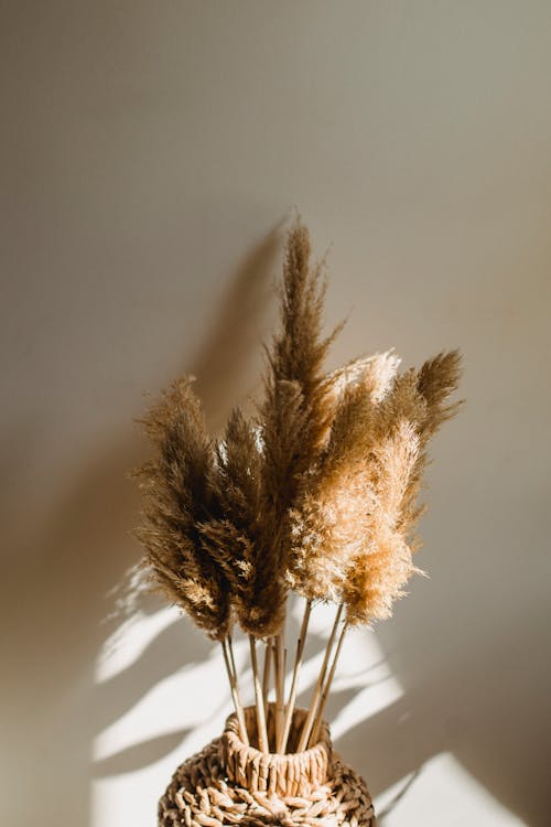 壁の近くに乾燥した植物の小枝が付いている枝編み細工品の花瓶