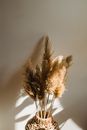 Wicker vase with dry plant sprigs near wall