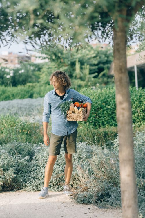 Free A man carrying a basket of fresh vegetables through a lush garden during the day. Stock Photo