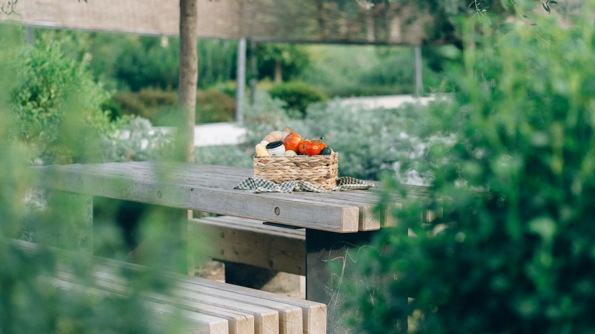 Créer un jardin comestible en permaculture