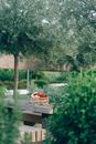Person in Red Shirt Sitting on Brown Wooden Bench Near Body of Water