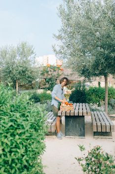 A man in casual attire arranging oranges in a basket on a table in a lush garden setting.