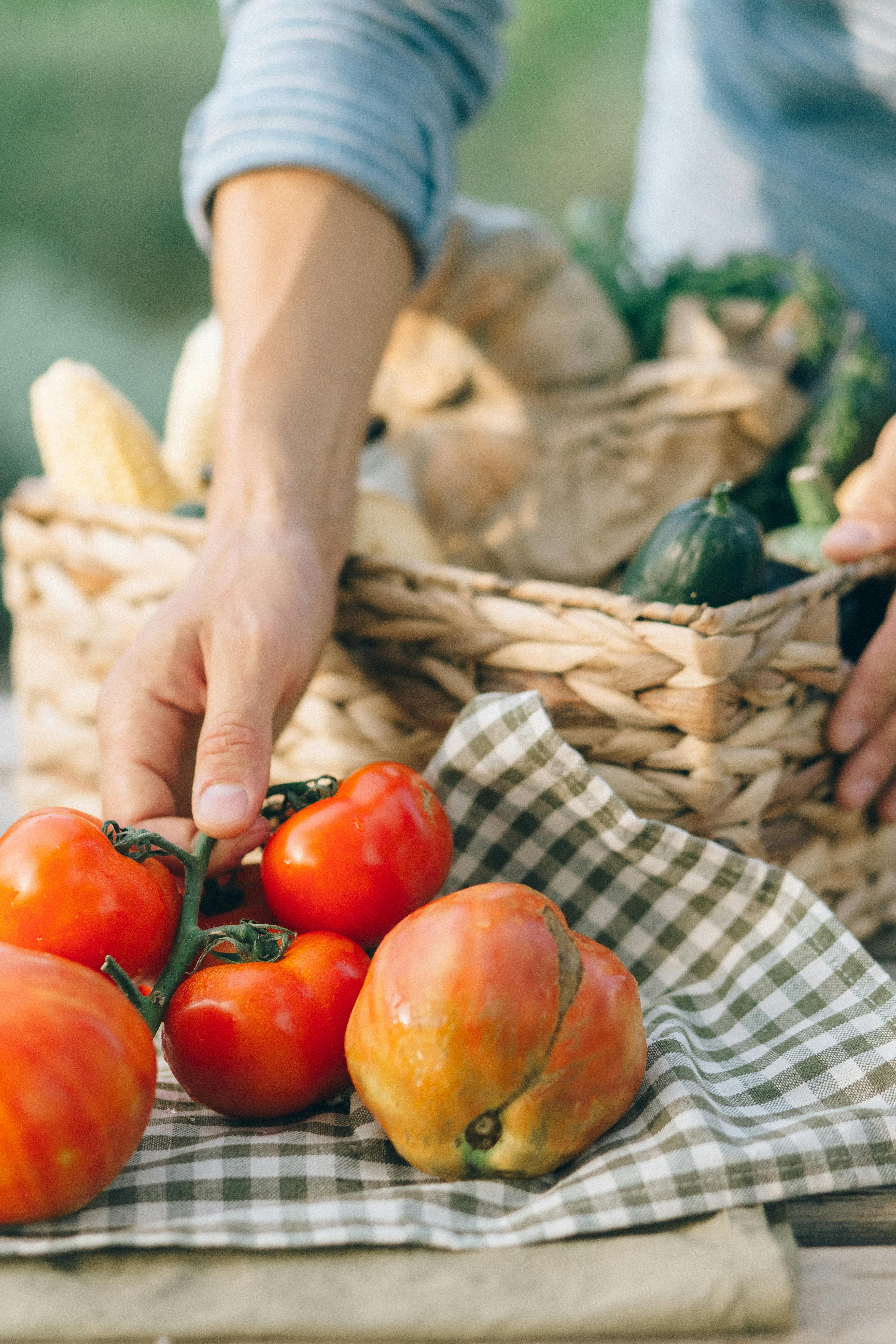 person holding red tomato fruit