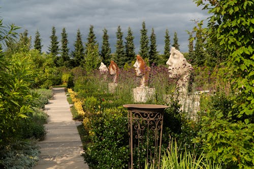 Garden under Gloomy Skies 