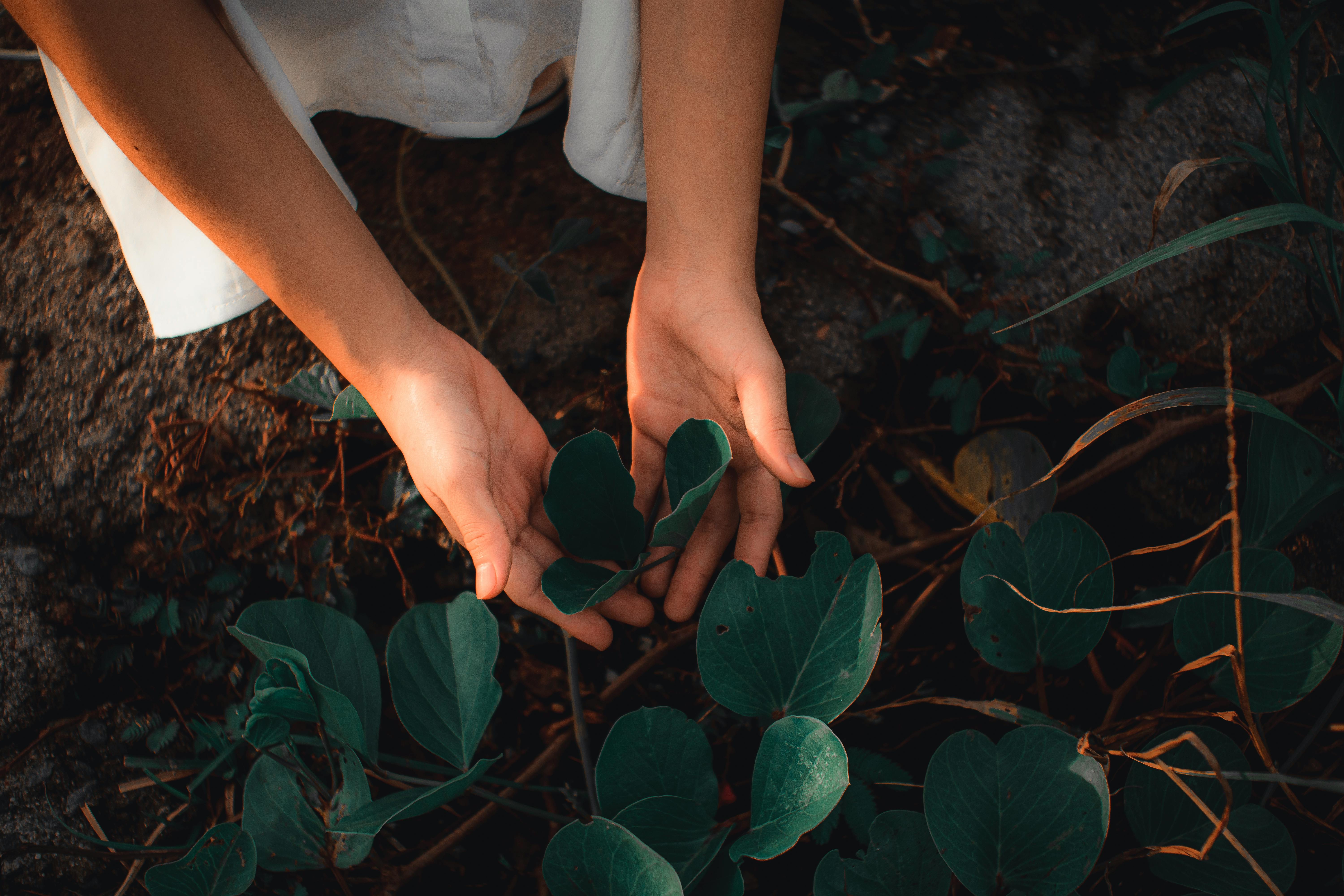 Agro e ESG: Lucro e Futuro Andam Juntos na Agricultura
