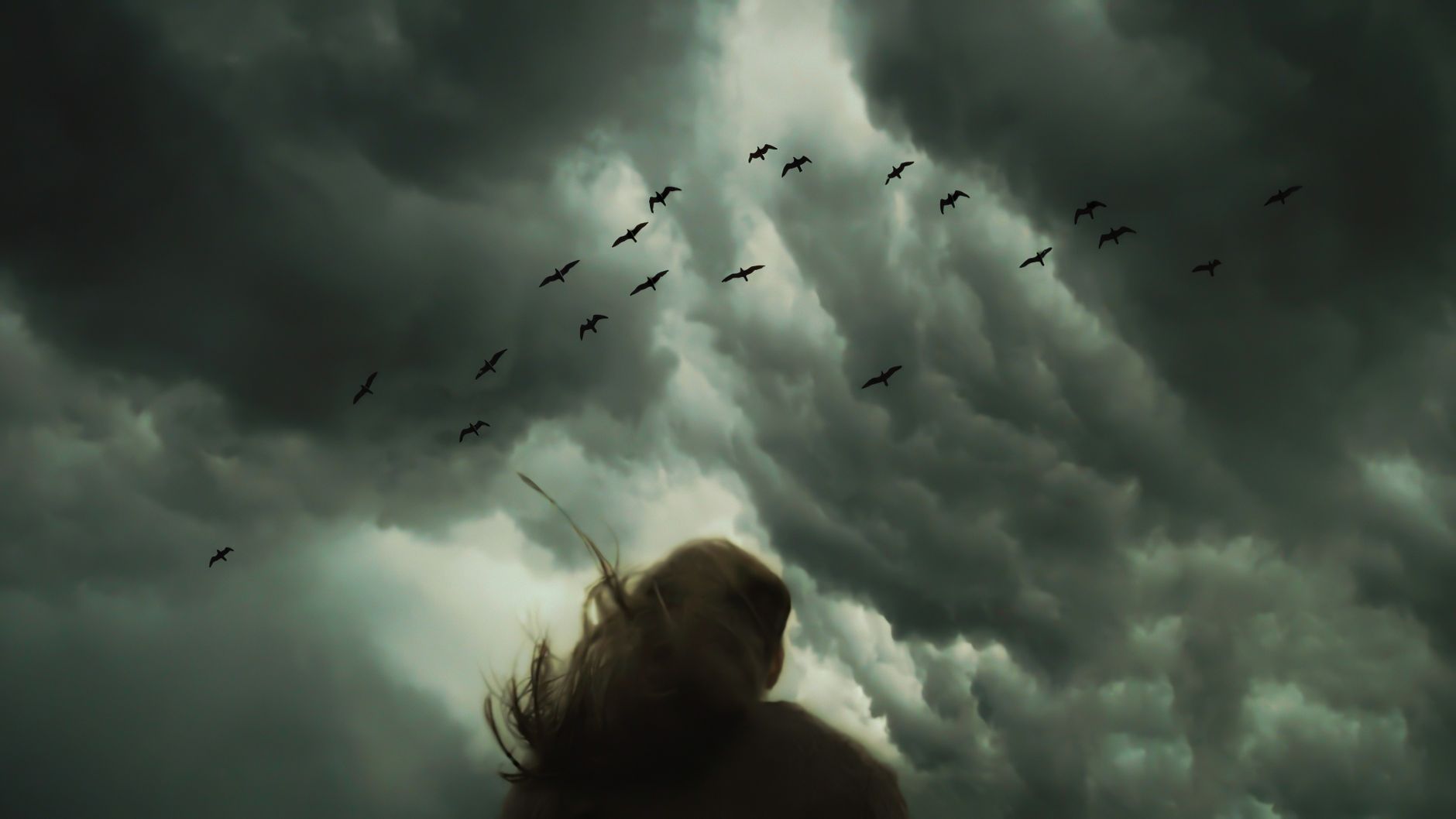 Silhouette of a person facing a dramatic sky filled with birds and storm clouds.