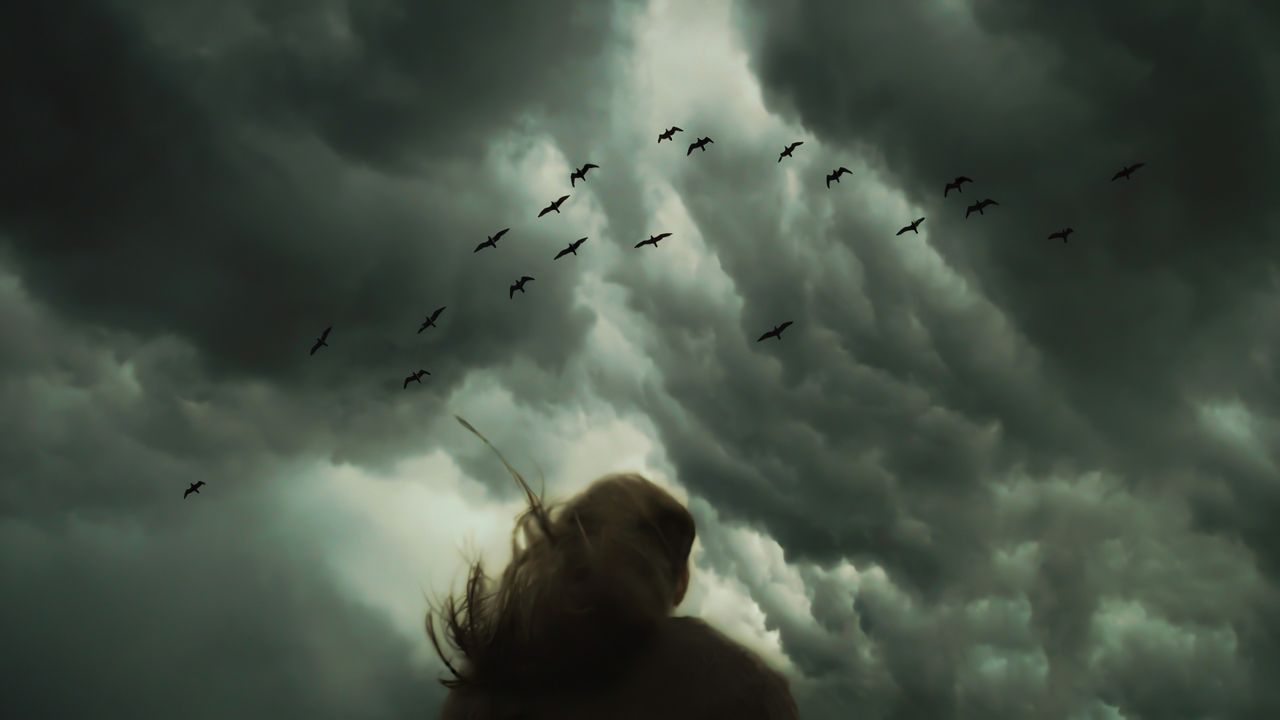 silhouette of a person facing a dramatic sky filled with birds and sto