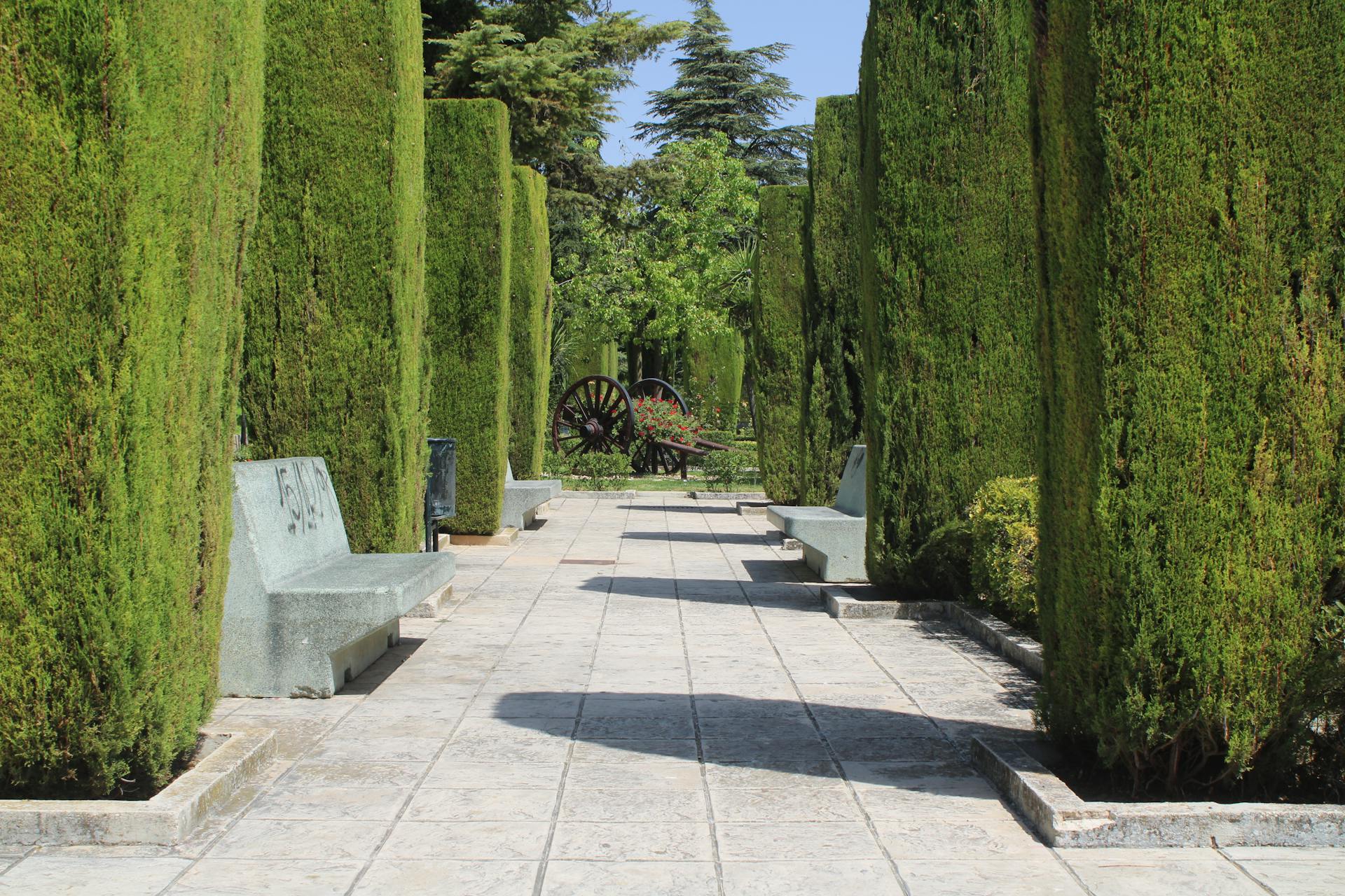 Lined with leyland cypresses, this Martos park is perfect for a calm stroll.