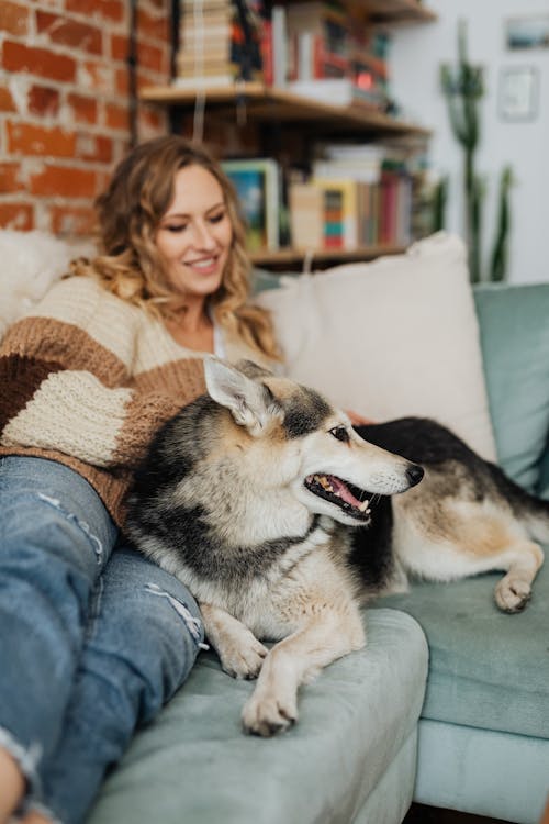 Free Woman Sitting on the Sofa with Her Dog Stock Photo