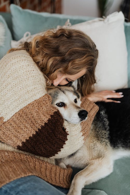 Immagine gratuita di a casa, abbracciando, animale domestico