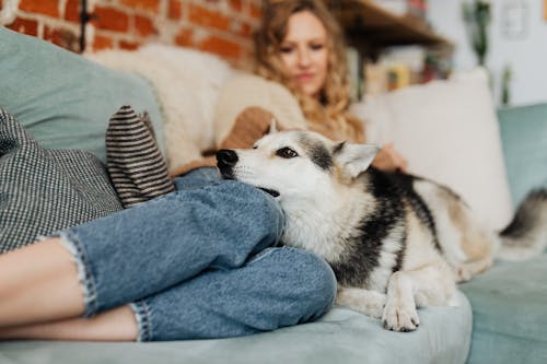 Free Woman Lying with a Dog on the Sofa
 Stock Photo