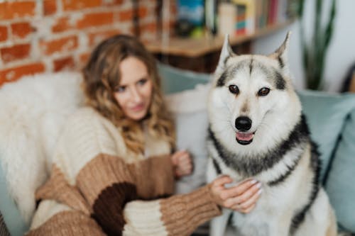 Free Woman Wearing Brown Sweater Holding a Dog Stock Photo