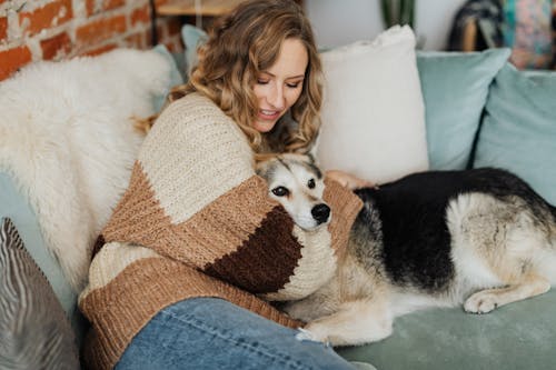 Free Woman Wearing Knitted Sweater Lying with White Dog on the Couch Stock Photo