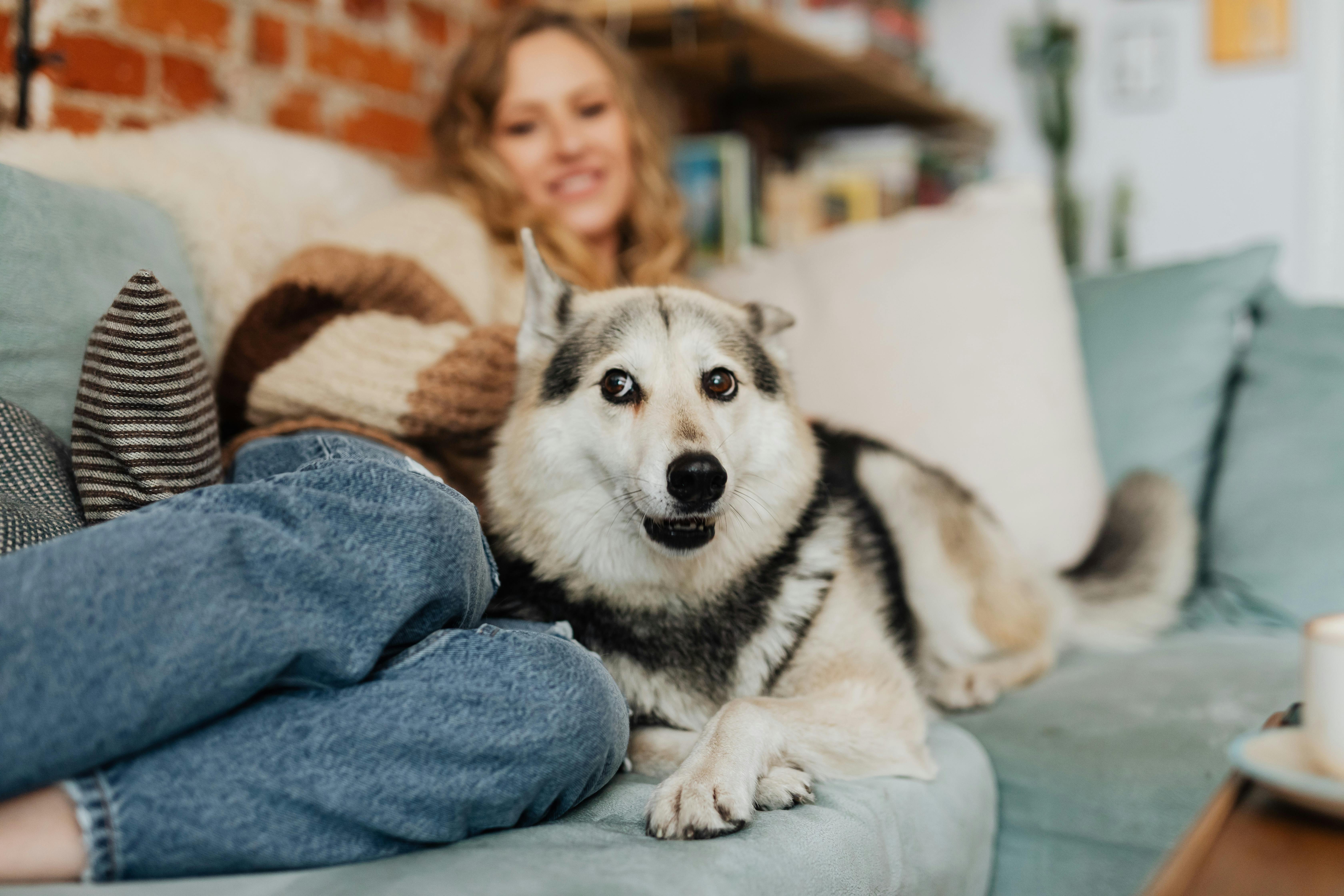 这是一个宁静的家庭场景：一个女人和她的狗在沙发上放松，舒适与陪伴感油然而生