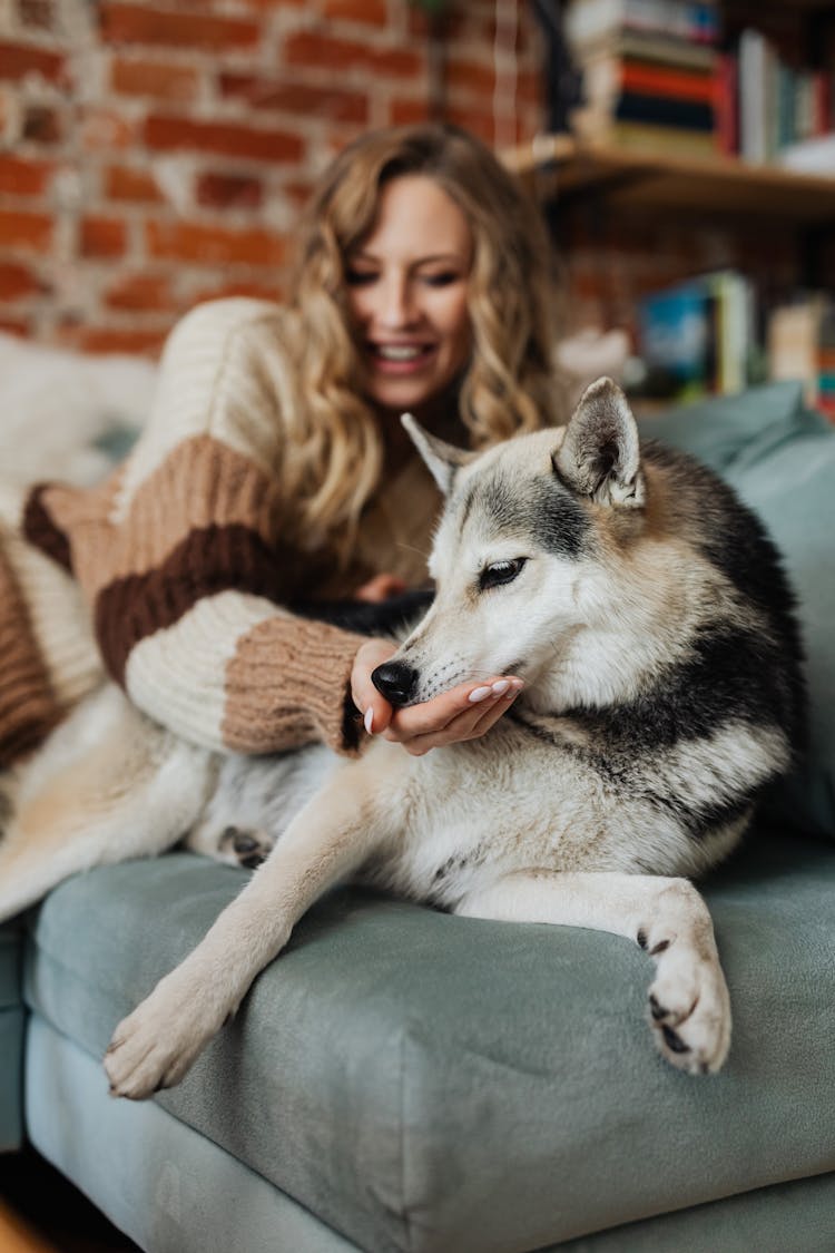 Pretty Woman Feeding A Dog