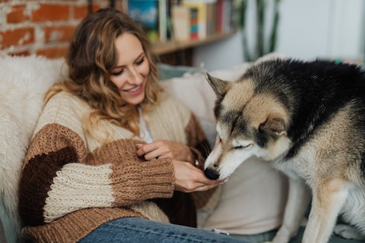 Woman Feeding A Short Coated Dog