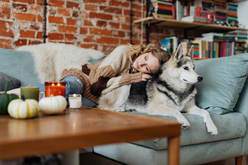 Free Pretty Woman Sleeping on the Sofa with a Dog Stock Photo