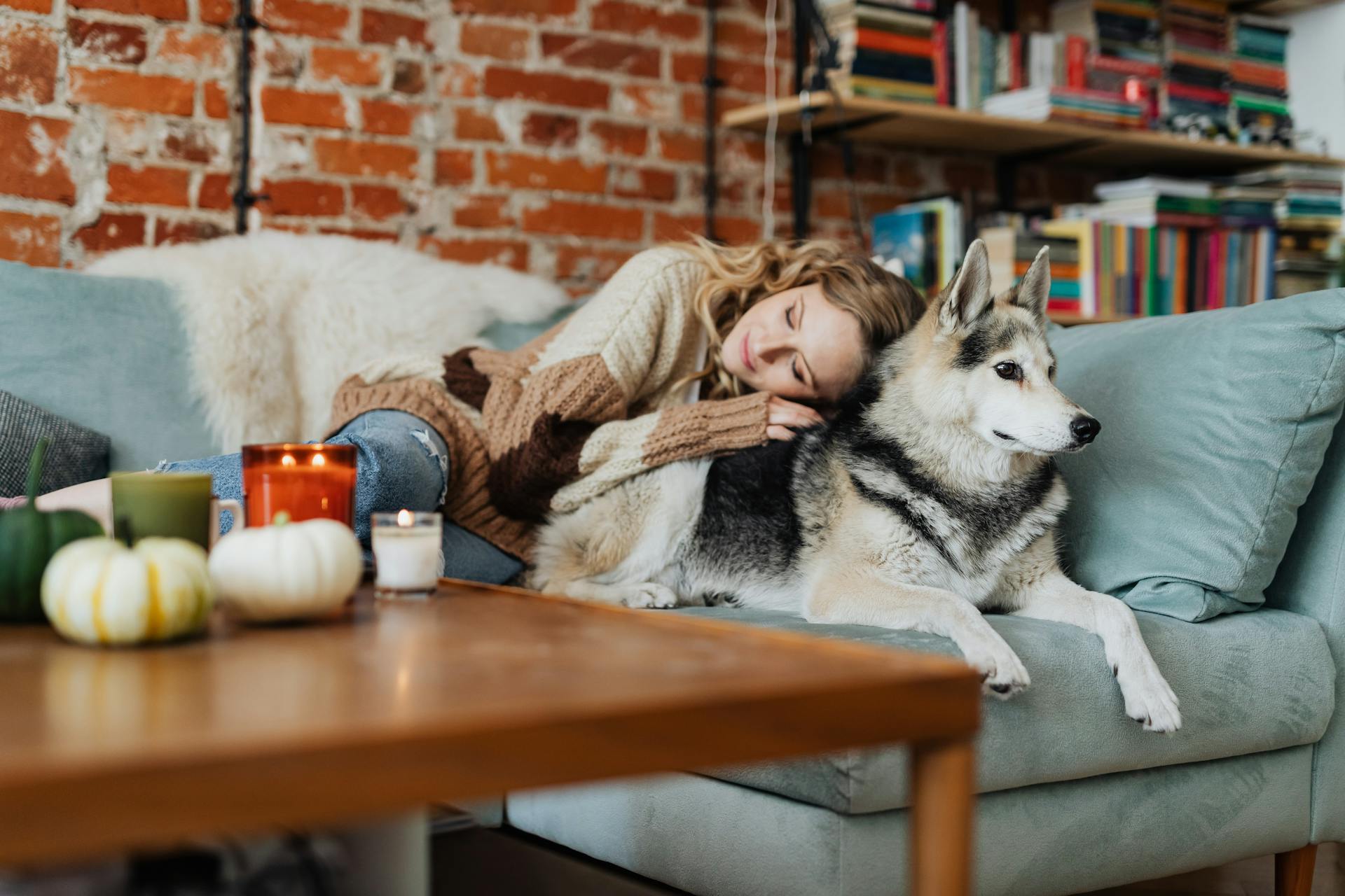 Pretty Woman Sleeping on the Sofa with a Dog