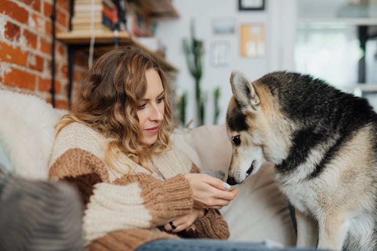 Female Owner With Her Dog Sitting On A Sofa