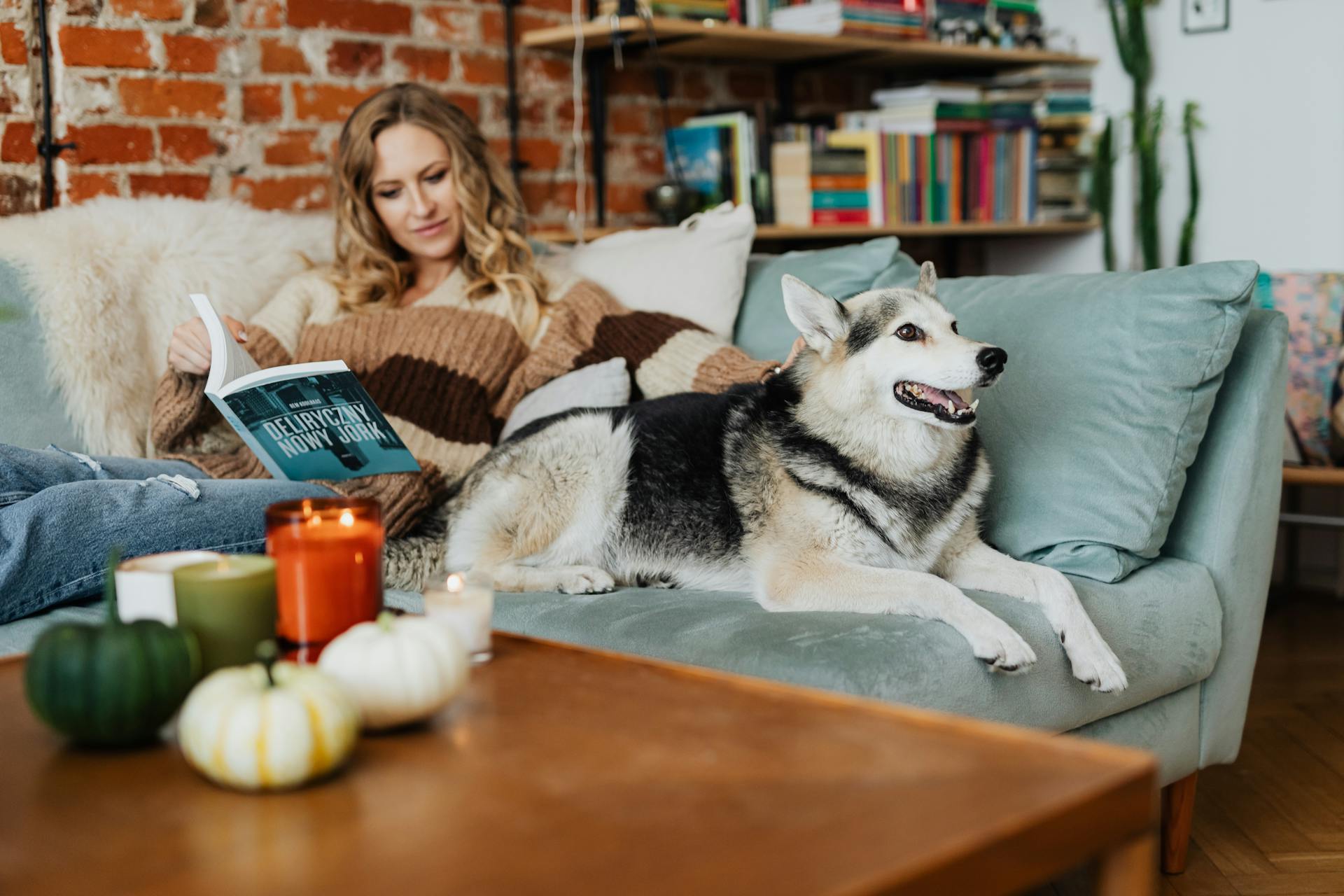 Woman petting her Siberian Husky Dog