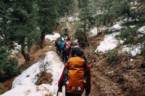 Free Foto stok gratis backpacker, dalam a row, hiking Stock Photo