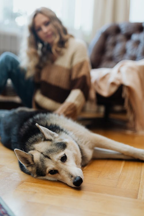 Free Dog and Woman on Floor Stock Photo