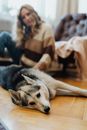 Dog and Woman on Floor