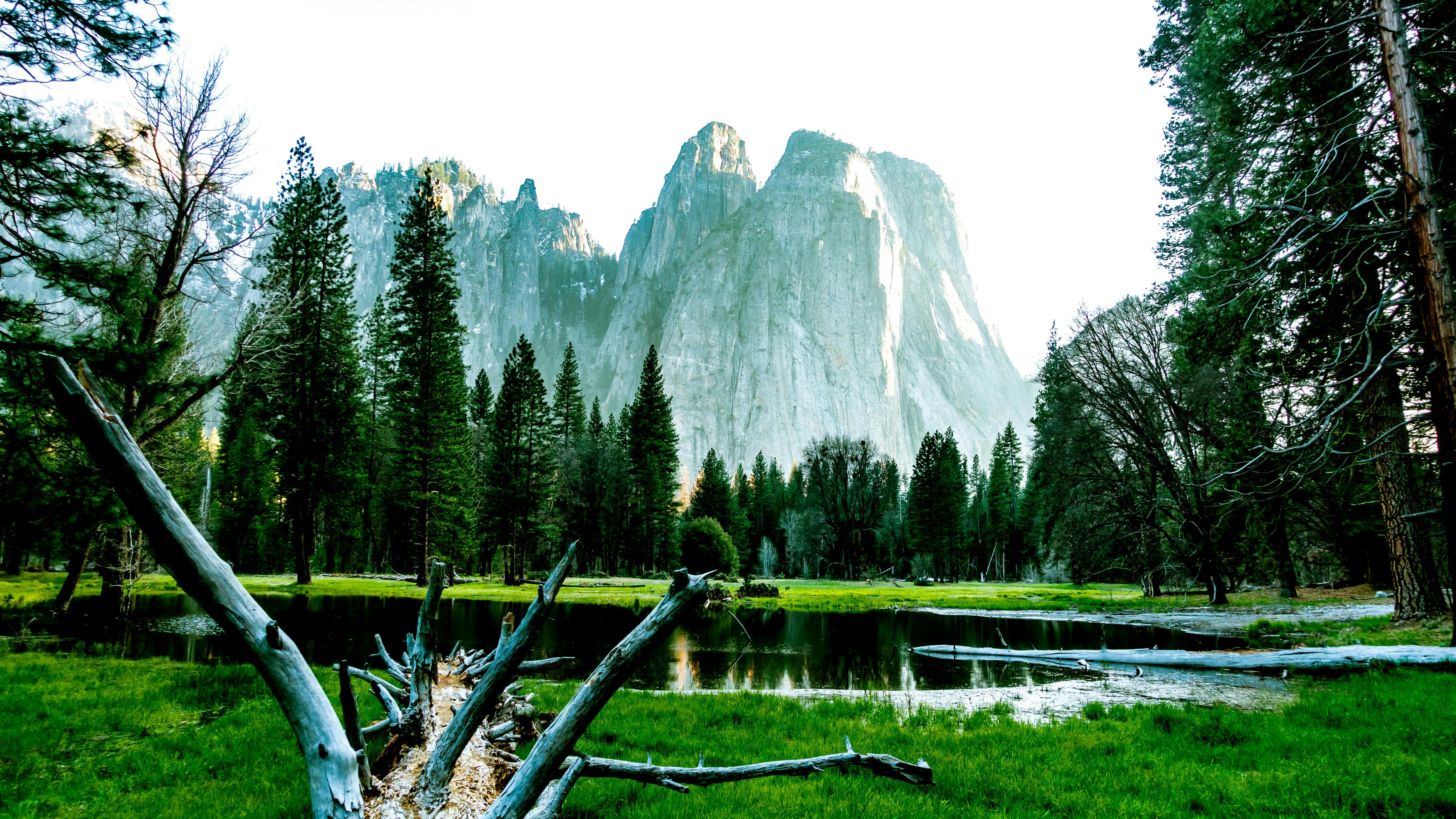 Serene Yosemite Valley landscape with pine trees and clear water reflecting rocky mountains.