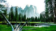 宁静的优胜美地山谷中，松树与清澈的湖水映衬着岩石山脉