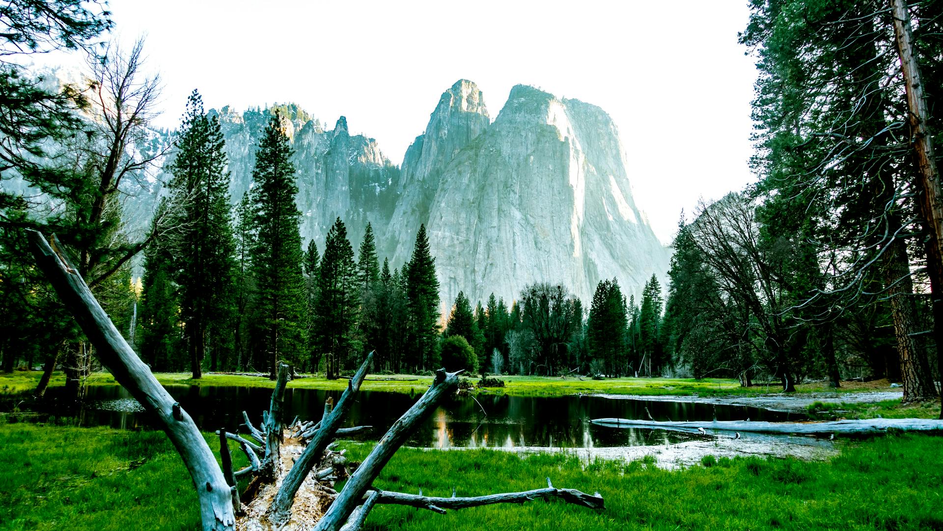 Serene Yosemite Valley landscape with pine trees and clear water reflecting rocky mountains.