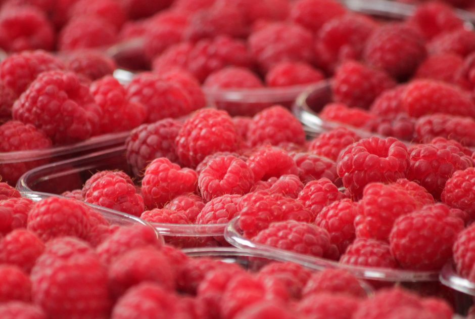 raspberry pi