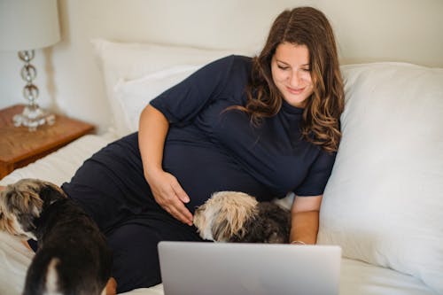 High angle of smiling adult pregnant female touching tummy while resting on bed with netbook and dogs