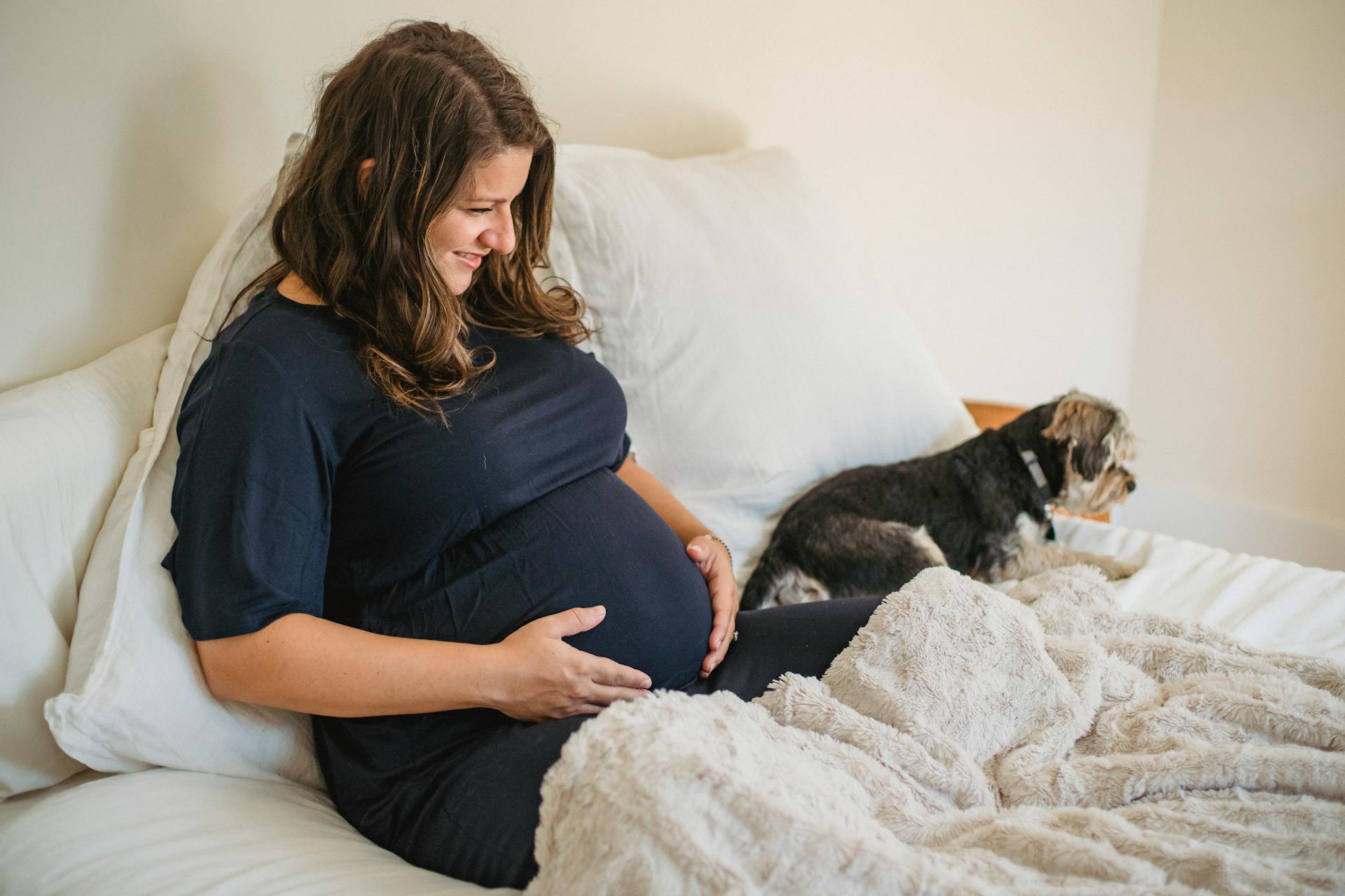 Vuxen glad gravid kvinna smeker magen medan vi vilar i sängen med söt liten hund hemma