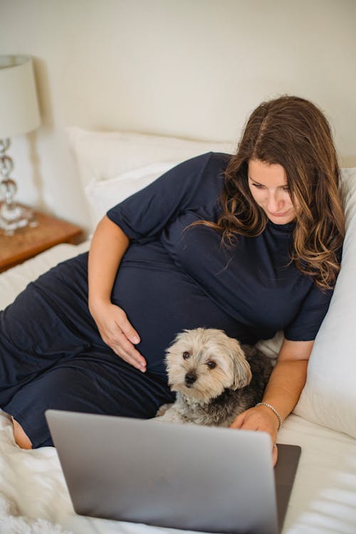 From above of expectant female embracing tummy while surfing internet on netbook and resting on bed with small dog