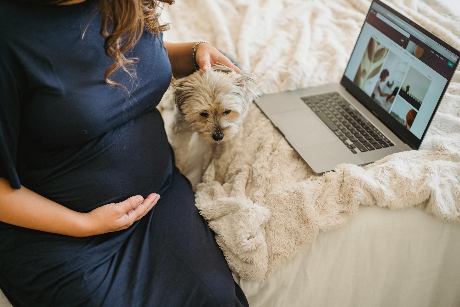 Crop pregnant woman stroking dog on bed with laptop