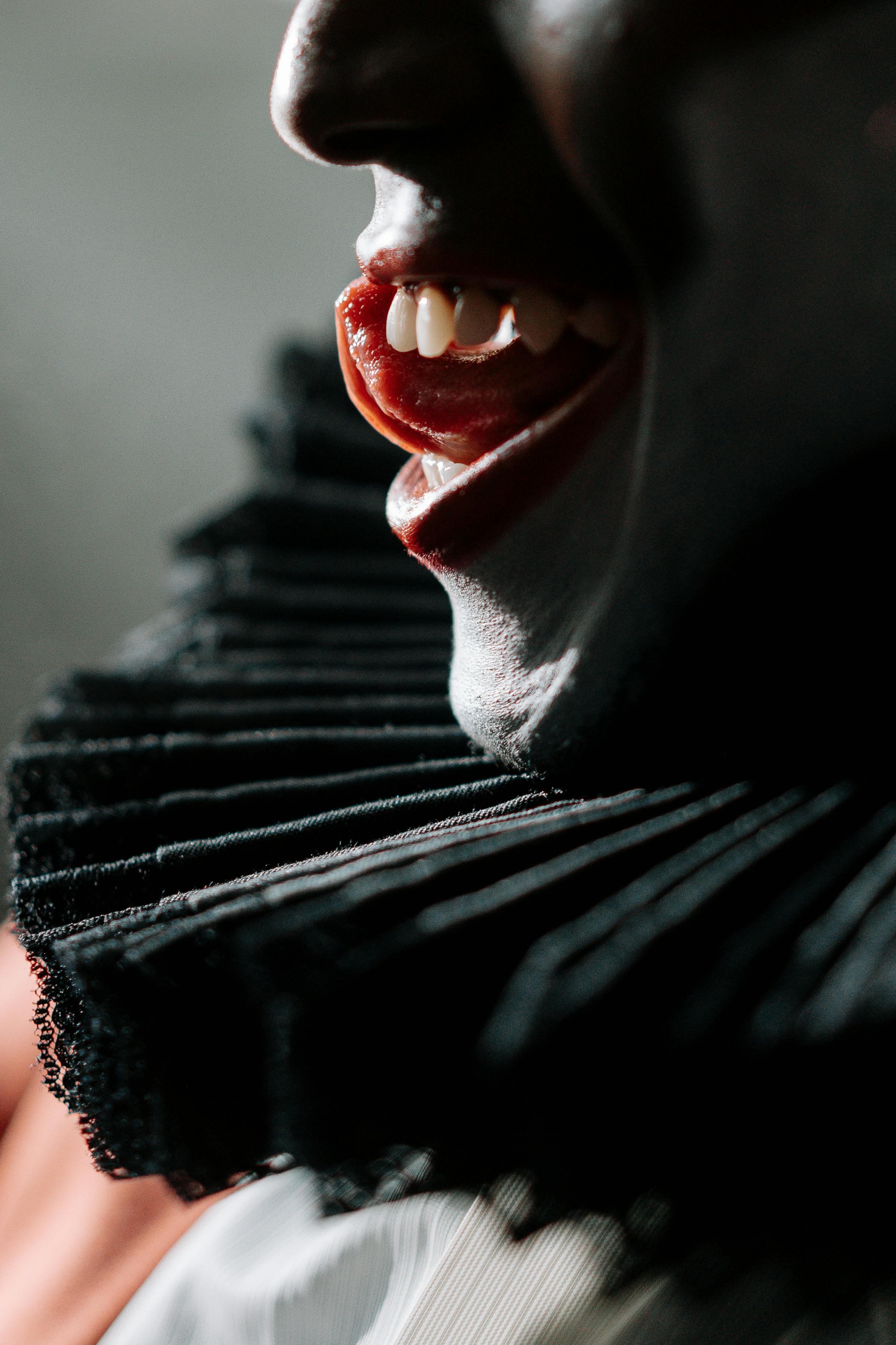 Human Skull With White Background · Free Stock Photo