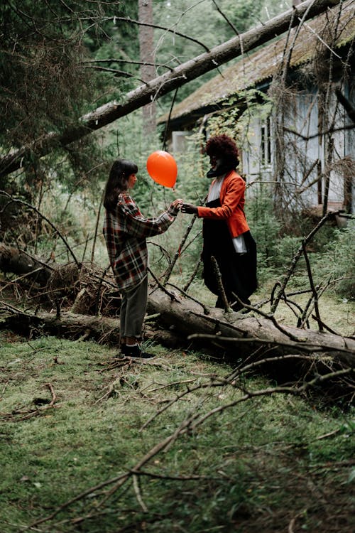 Fotobanka s bezplatnými fotkami na tému balón, desivé, desivý