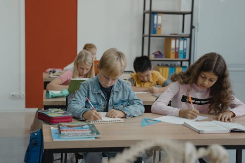 Foto d'estoc gratuïta de adolescents, aprenent, assegut