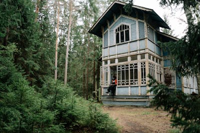 Iron supplement and iron-rich foods for fertility