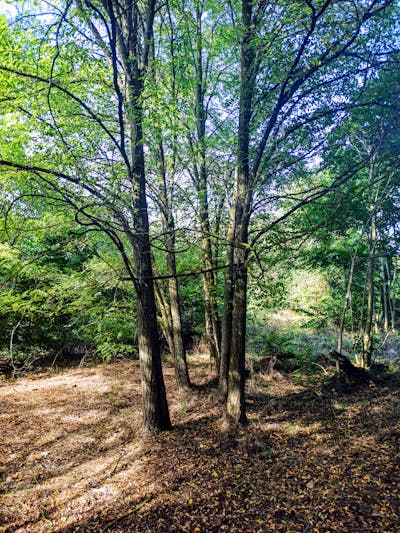 Woman emotionally preparing for solo parenthood