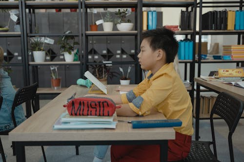 Gratis lagerfoto af asiatisk dreng, bøger, elementære