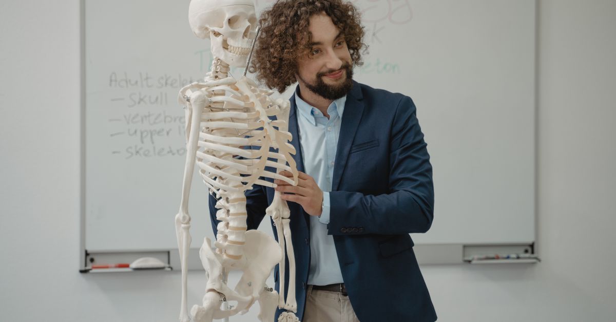 10 huesos y órganos humanos con roles biológicos aún en estudio 10 huesos y órganos humanos con roles biológicos aún en estudio
