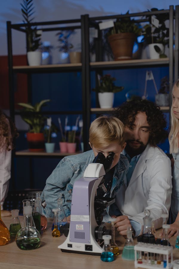 Профильді оқыту