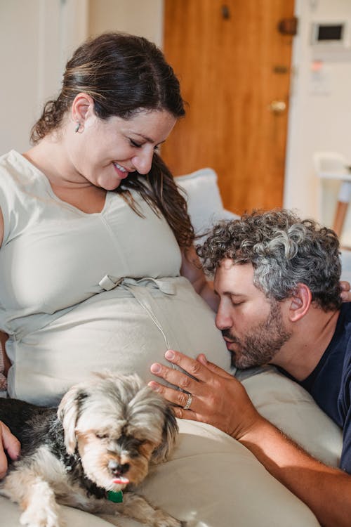 Free Happy adult wife sitting on sofa with dog and looking on husband touching and kissing pregnant belly on sunny day in modern apartment Stock Photo