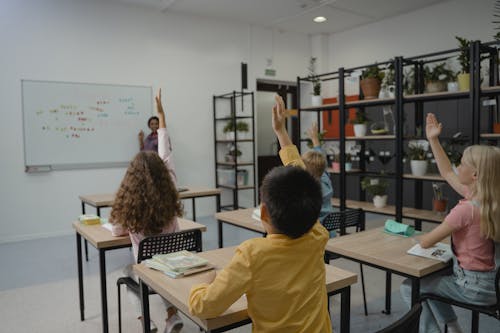 Students with their Hands Raised